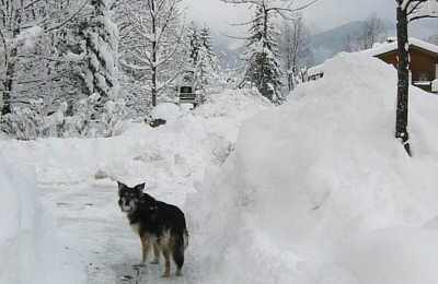 2007032103.jpg