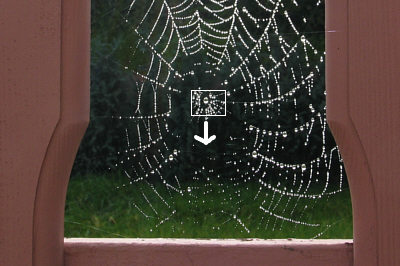 2007100802.jpg