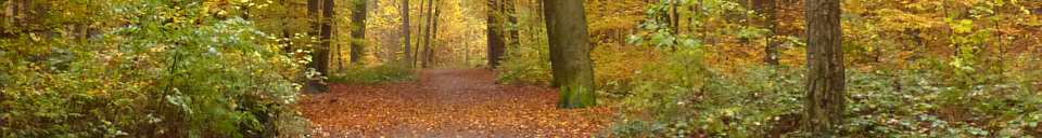 ALLes allTAEGLICH ALLes allTAEGLICH